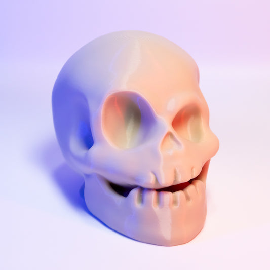 Cartoon Skull Decoration